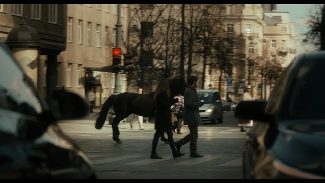 Video Reference: urban area, mode of transport, infrastructure, street, horse like mammal, road, horse, tree, vehicle, pedestrian, Person