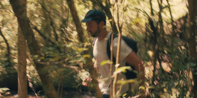 Video Reference: Jungle, Natural environment, Tree, Forest, Adaptation, Organism, Woodland, Plant, Rainforest, Wildlife