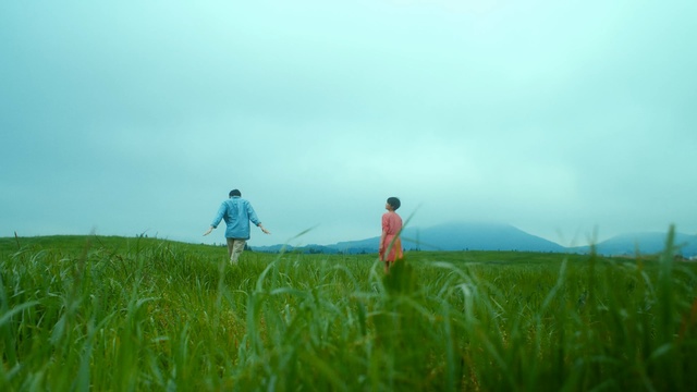 Video Reference: Grassland, People in nature, Nature, Prairie, Green, Meadow, Grass, Field, Natural landscape, Natural environment