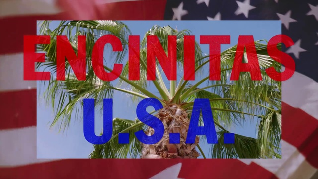 Video Reference: Banner, Font, Plant, Advertising, World, Art