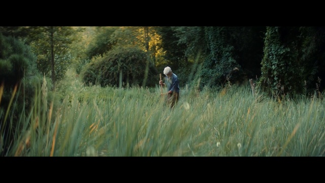 Video Reference: People in nature, Nature, Green, Natural environment, Grass, Wilderness, Forest, Woodland, Grassland, Tree