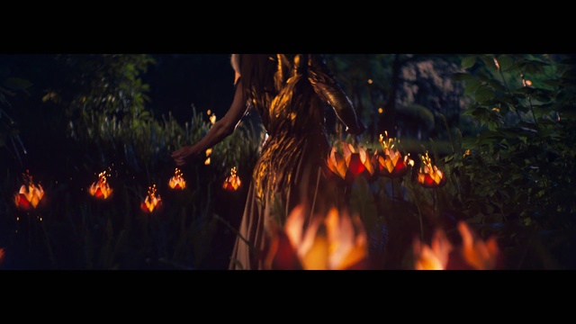 Video Reference: Heat, Fire, Flame, Campfire, Bonfire, Wildfire, Tree, Event, Geological phenomenon, World