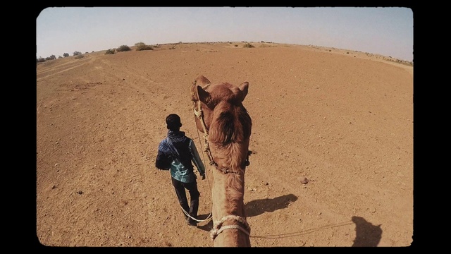 Video Reference: Camel, Desert, Sand, Arabian camel, Camelid, Natural environment, Sahara, Aeolian landform, Landscape, Erg