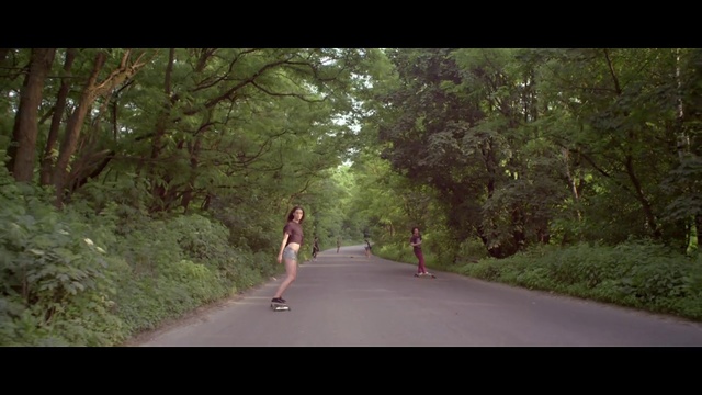 Video Reference: Nature, Photograph, Tree, Green, Natural environment, Morning, Sunlight, Snapshot, Forest, Woodland