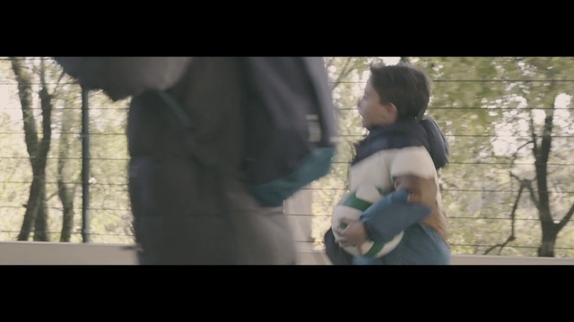 Video Reference: Photograph, Photography, Tree, Screenshot, Romance