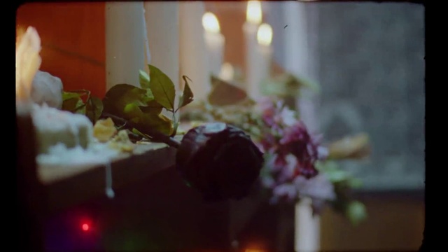 Video Reference: Light, Still life photography, Still life, Floral design, Flower, Floristry, Plant, Room, Centrepiece, Photography