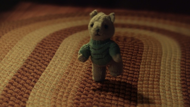 Video Reference: snout, macro photography