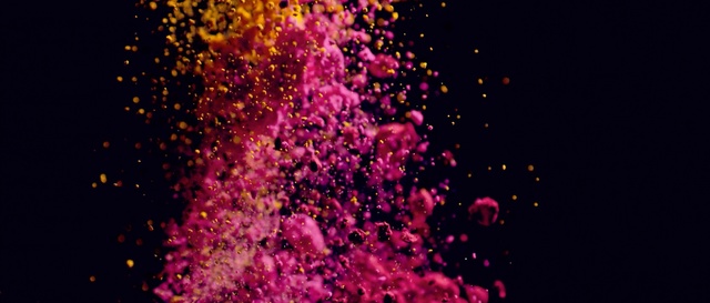 Video Reference: shrub, art, light, design