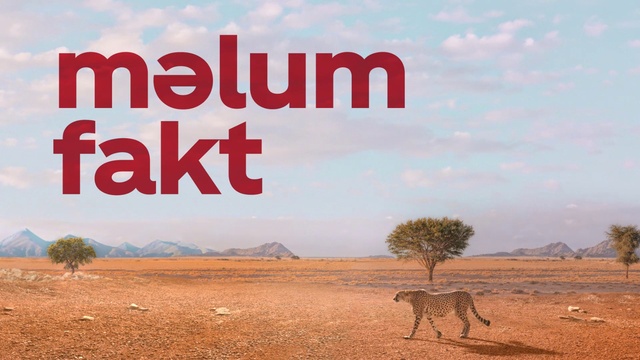 Video Reference: Natural environment, Wildlife, Adaptation, Savanna, Ecoregion, Landscape, Terrestrial animal, Plain, Font, Desert