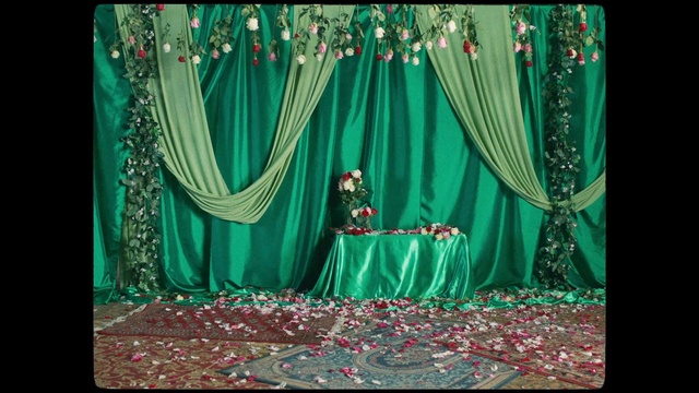Video Reference: Green, Stage, Curtain, Textile, Natural environment, Formal wear, Window treatment, Interior design, Organism, Music venue