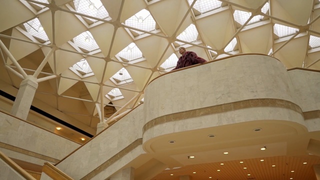 Video Reference: ceiling, architecture, structure, daylighting, lighting, interior design, wood, symmetry, angle, beam