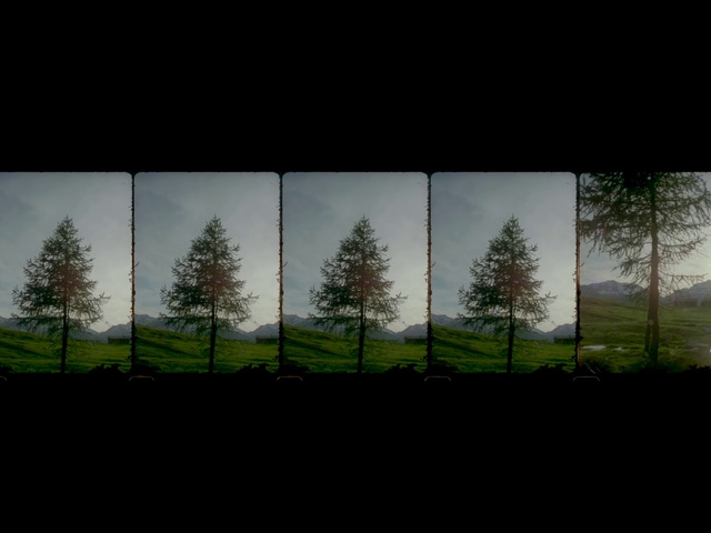 Video Reference: Sky, Tree, Nature, Green, Atmospheric phenomenon, Natural environment, Natural landscape, Light, Woody plant, Darkness