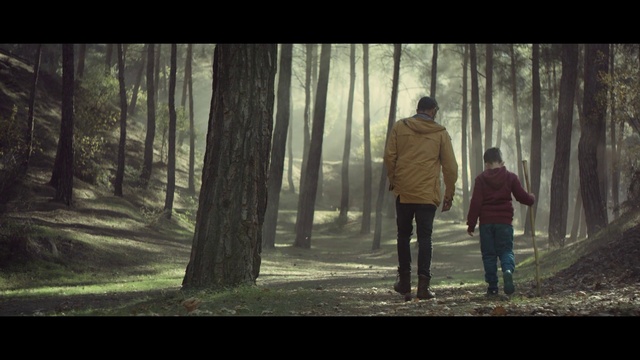 Video Reference: People in nature, Nature, Tree, Forest, Natural environment, Woodland, Atmospheric phenomenon, Woody plant, Atmosphere, Photography