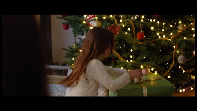Video Reference: christmas, christmas decoration, girl, event, lighting, night, darkness, christmas tree, tree, holiday