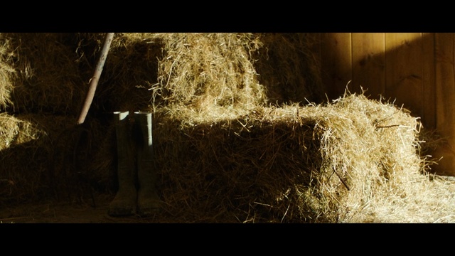 Video Reference: Darkness, Photography, Straw, Hay, Grass, Tree, Still life photography, Sunlight, Plant, Stock photography