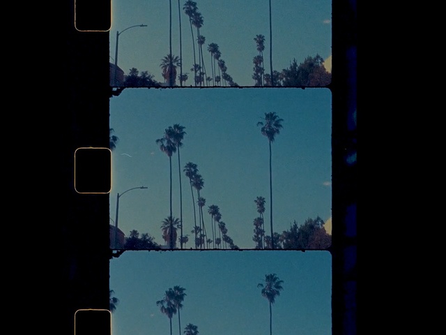 Video Reference: Sky, Blue, Tree, Line, Street light, Palm tree, Architecture, Plant, Overhead power line, City, Person, Outdoor, Light, Traffic, Street, Photo, Sitting, Sign, Hanging, View, Snow, Stop, White, Lit, Mirror, Red, Pole, Intersection, Covered, Standing, Signal, Bus, Tall, Road, Text, Billboard