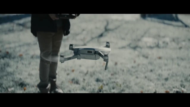 Video Reference: Canidae, Dog breed, Sporting Group, Photography, Snow, Winter, Carnivore, Radio-controlled toy, Screenshot, Vehicle, Person