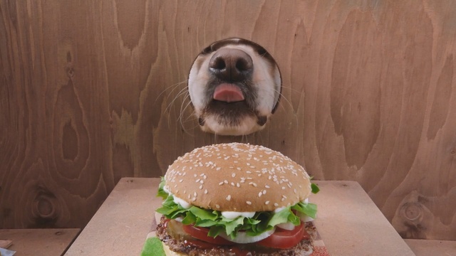 Video Reference: Hamburger, Food, Buffalo burger, Whopper, Cheeseburger, Veggie burger, Dish, Cuisine, Junk food, Sandwich