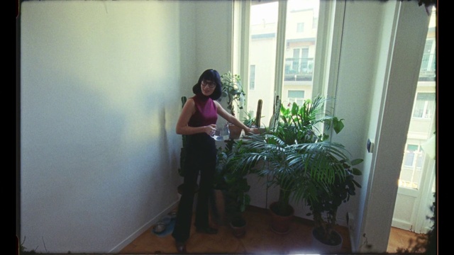 Video Reference: Houseplant, Botany, Room, Plant, Fun, Grass, House, Photography, Window, Flower