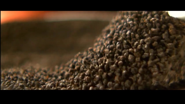 Video Reference: Close-up, Photography, Plant, Superfood, Soil, Macro photography