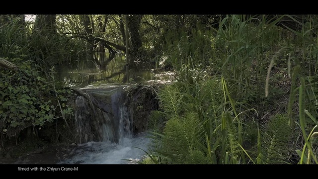 Video Reference: water, nature, vegetation, body of water, nature reserve, watercourse, waterfall, ecosystem, woodland, forest