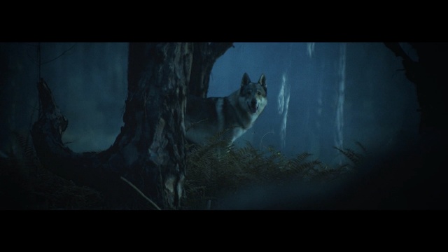 Video Reference: darkness, atmosphere, screenshot, computer wallpaper, midnight, sky, fictional character