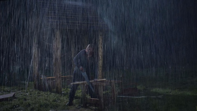 Video Reference: Atmospheric phenomenon, Darkness, Tree, Atmosphere, Grass, Rain, Wood, Landscape, Plant, Forest