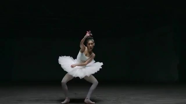 Video Reference: performing arts, dancer, ballet, dance, performance, entertainment, choreography, ballet tutu, performance art, event, Person