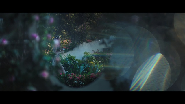 Video Reference: darkness, atmosphere, screenshot, light, organism, computer wallpaper, fractal art, midnight, smoke, lens flare