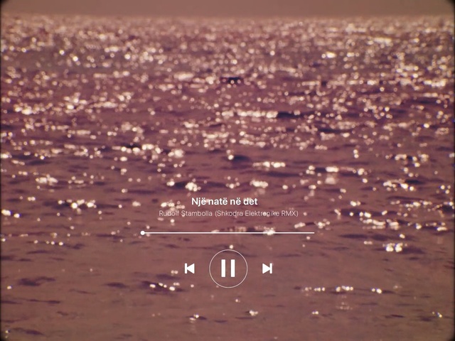 Video Reference: Water, Text, Brown, Drop, Sky, Font, Photography, Outdoor, Beach, Ocean, Flying, Holding, Group, Boat, Standing, Bird, People, Wave, Screenshot, Shore