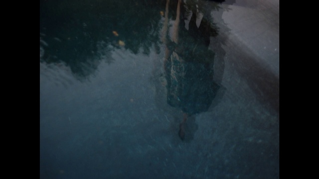 Video Reference: Blue, Black, Reflection, Water, Green, Nature, Photograph, Darkness, Atmosphere, Tree