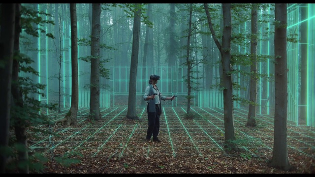Video Reference: Forest, People in nature, Woodland, Nature, Natural environment, Tree, Northern hardwood forest, Green, Old-growth forest, Biome, Person, Grass, Front, Building, Standing, Holding, Rain, Woman, Young, Sitting, Man, Door, Walking, Street, Boy, Umbrella, Large, Covered, Tall, Hydrant, Field, Clothing, Fog, Screenshot