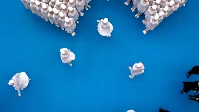 Video Reference: blue, azure, sky, organism, marine biology, computer wallpaper, space, water