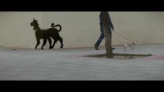 Video Reference: Canidae, Dog, Dog breed, Fun, Art, Photography, Sporting Group, Wildlife, Sculpture, Goats