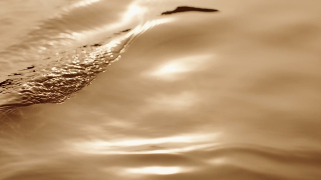 Video Reference: Water, Sky, Cloud, Liquid, Close-up, Atmosphere, Reflection, Sunlight, Photography, Macro photography