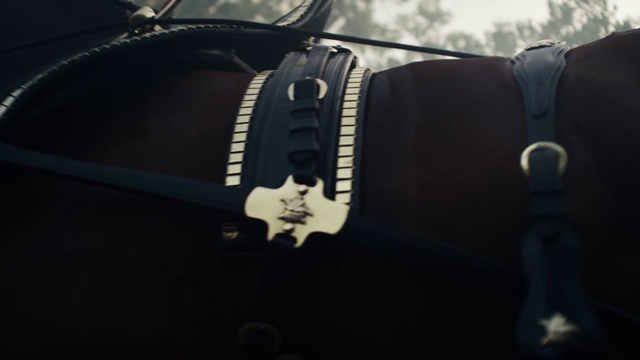 Video Reference: Black, Photography