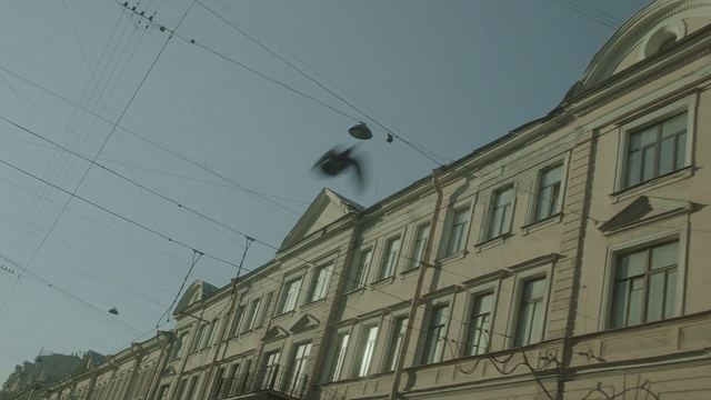Video Reference: Overhead power line, Sky, Wire, Line, Urban area, Neighbourhood, Electricity, Architecture, Wall, Tree