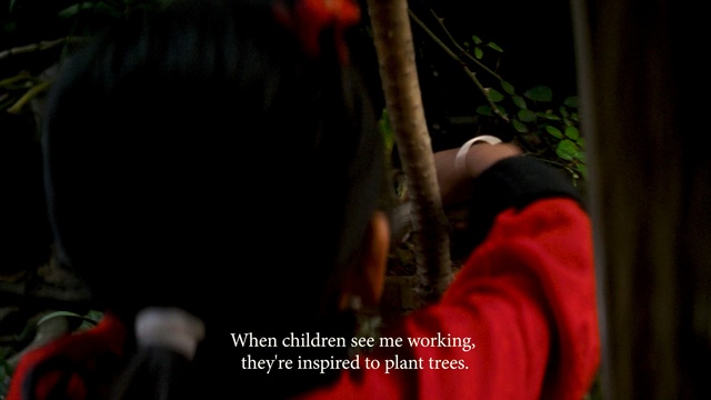 Video Reference: red, darkness, tree, night, plant, midnight, performance art
