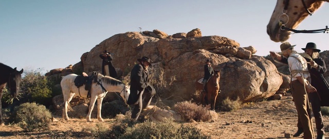 Video Reference: Herd, Rock, Bovine, Badlands, Terrestrial animal, Geology, Wildlife, Adaptation, Landscape, Dairy cow