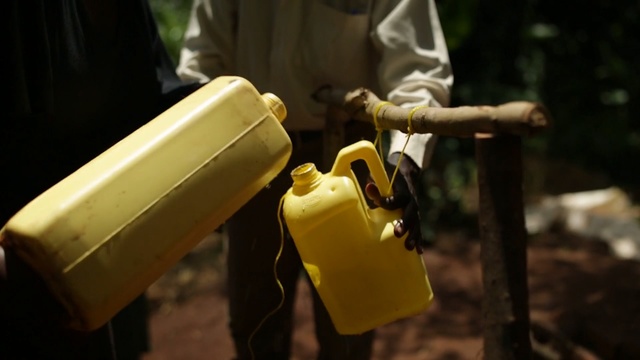 Video Reference: yellow