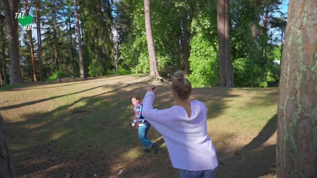 Video Reference: Woodland, Nature, Photograph, Tree, Natural environment, Forest, Leaf, Fun, Leisure, State park