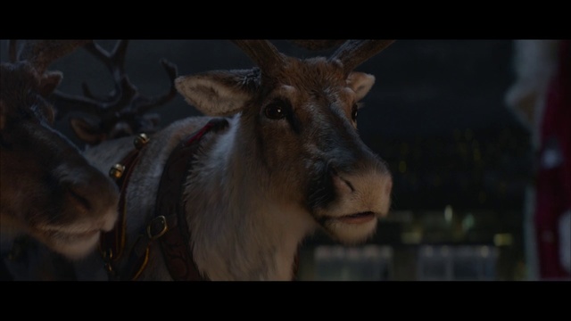 Video Reference: Goat, Goats, Mammal, Goat-antelope, Wildlife, Cow-goat family, Horn, Snout, Organism, Darkness