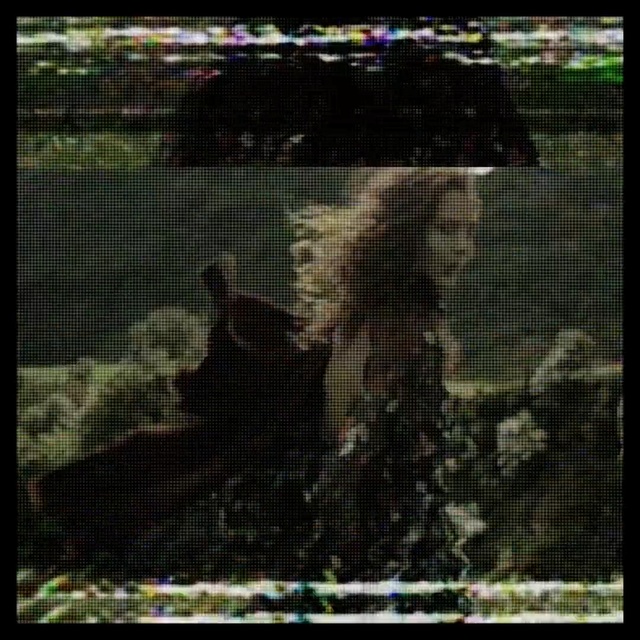 Video Reference: nature, fauna, green, mammal, wildlife, urban area, vertebrate, net, tree, grass, Person