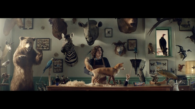 Video Reference: case