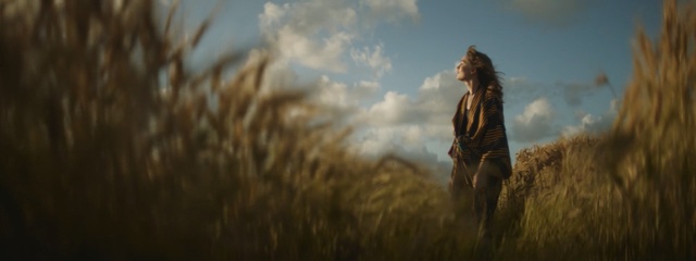 Video Reference: sky, grass family, grass, screenshot, tree, computer wallpaper, darkness, landscape, field, stock photography