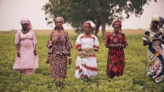 Video Reference: People, Adaptation, Tribe, Tradition