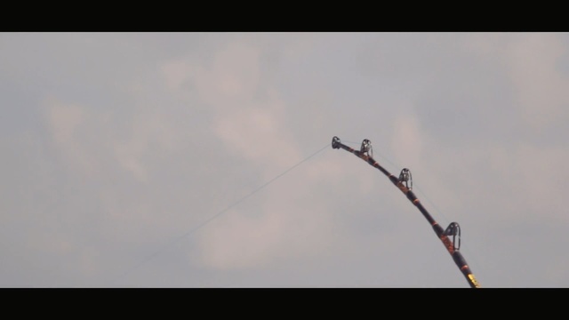 Video Reference: sky, cloud, tree, branch, meteorological phenomenon, air show, bungee jumping