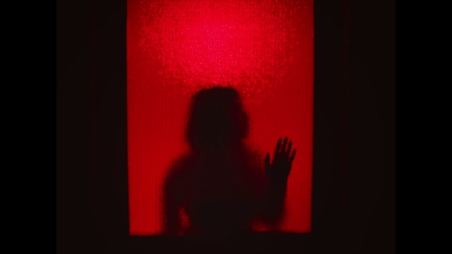 Video Reference: Red, Black, Maroon, Light, Room, Darkness, Shadow, Flesh, Photography, Silhouette
