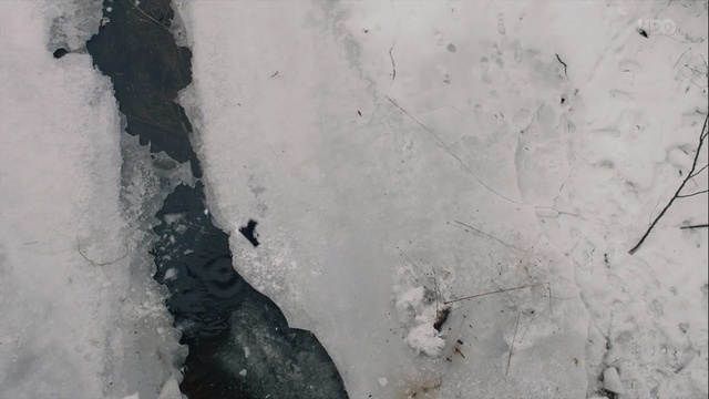 Video Reference: Geological phenomenon, Geology, Cement, Concrete, Ice