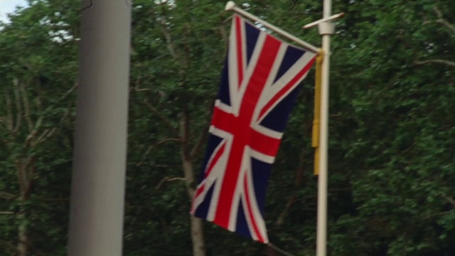 Video Reference: Flag, Pole, Tree, Flag of the united states, Sign, Plant, Signage